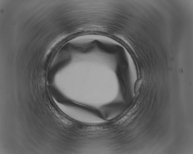 X0000067901115200605041611