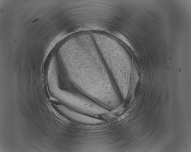 X0000067901116200605041611