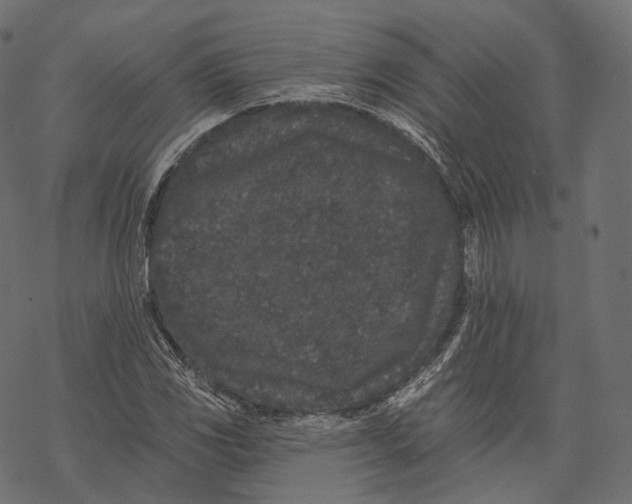 X0000067901117200605041611