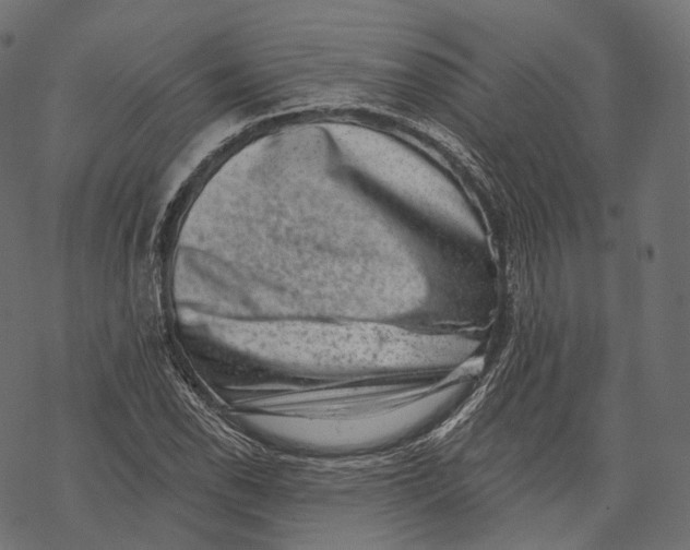 X0000067901118200605041611