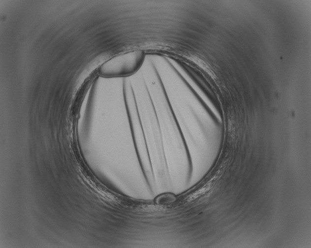 X0000067901119200605041611