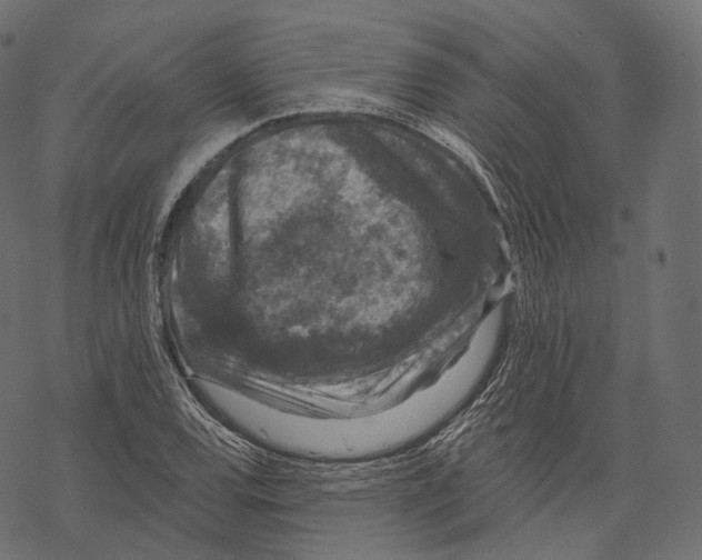 X0000067901120200605041611