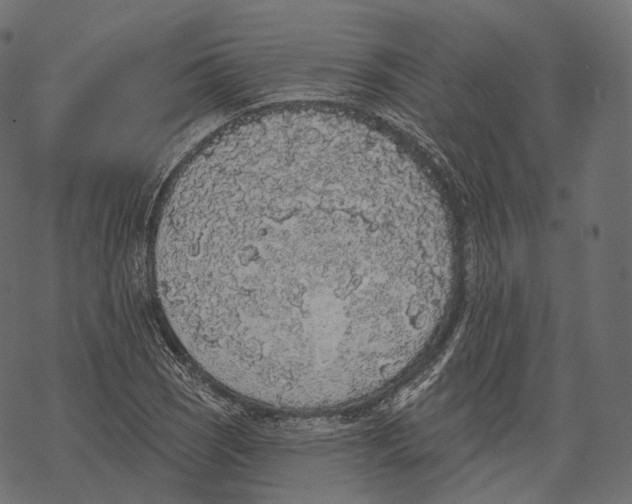 X0000067901121200605041611