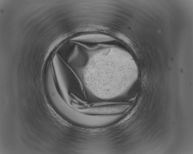 X0000067901122200605041611