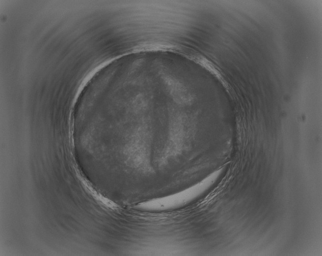 X0000067901124200605041611