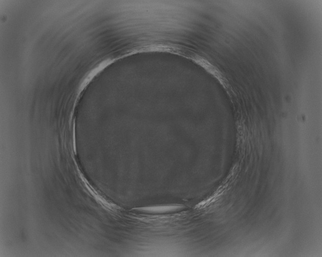 X0000067901127200605041611