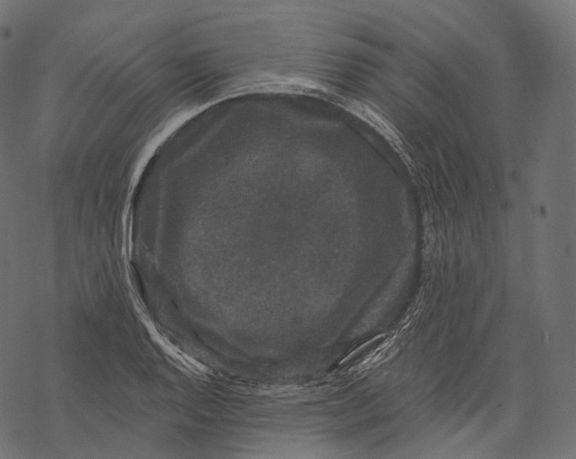 X0000067901128200605041611