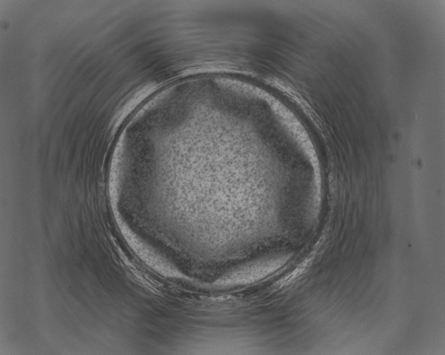 X0000067901129200605041611