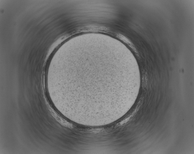 X0000067901130200605041611