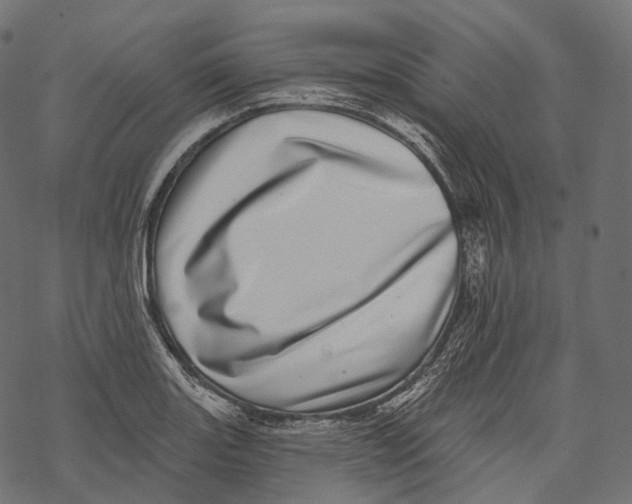 X0000067901131200605041611