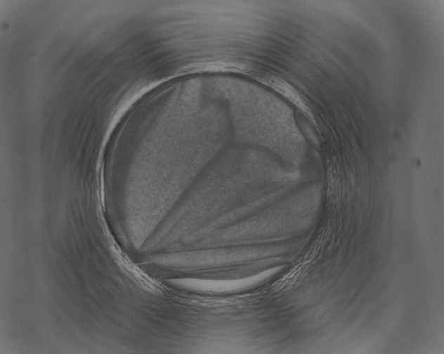 X0000067901132200605041611