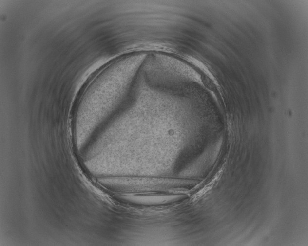 X0000067901133200605041611