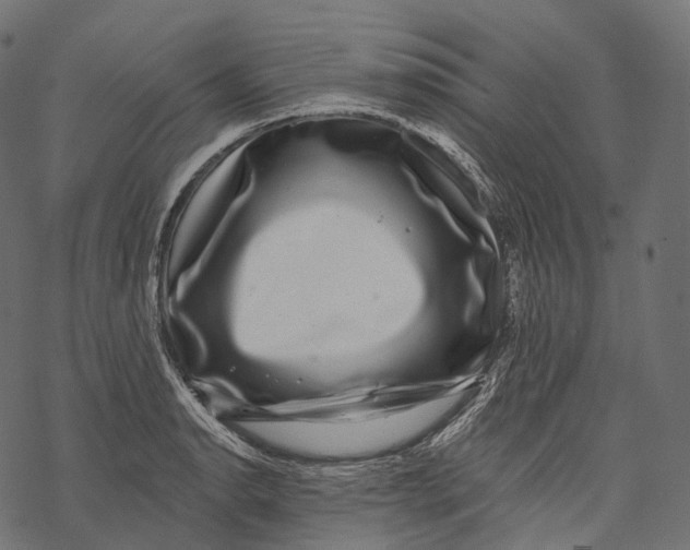 X0000067901134200605041611