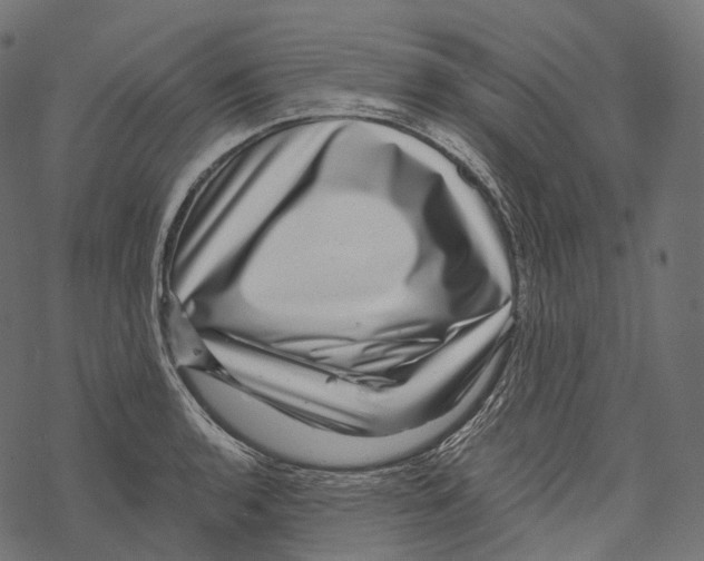 X0000067901136200605041611