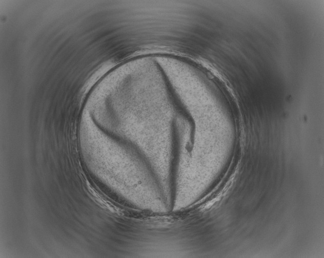 X0000067901137200605041611