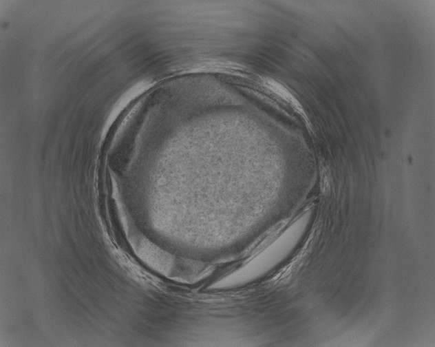 X0000067901138200605041611