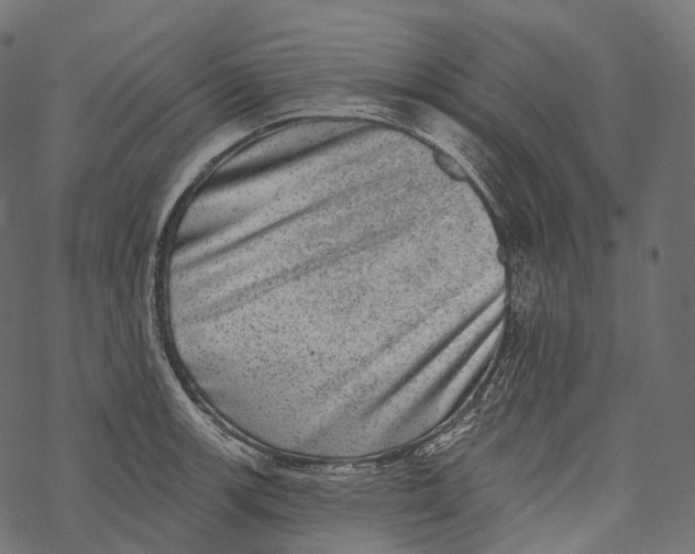 X0000067901139200605041611