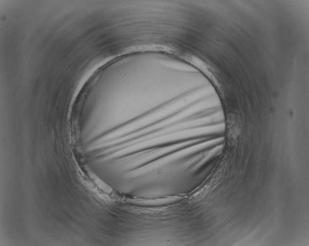 X0000067901140200605041611