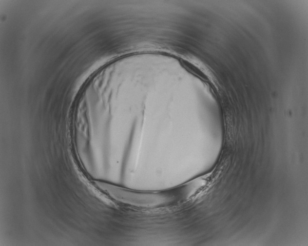 X0000067901142200605041611