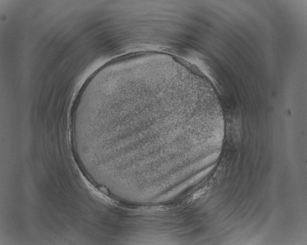 X0000067901143200605041611