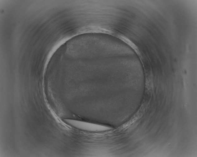 X0000067901144200605041611