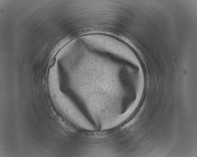 X0000067901145200605041611