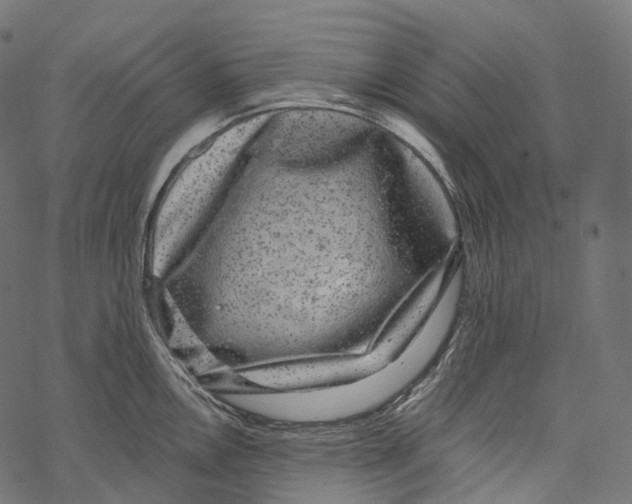 X0000067901146200605041611