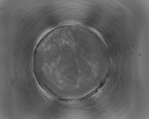 X0000067901147200605041611