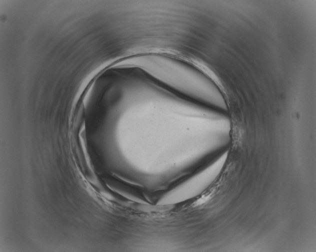 X0000067901148200605041611