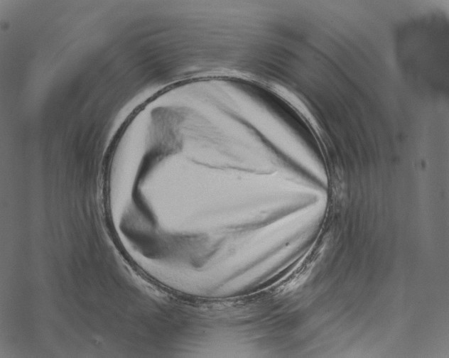 X0000067901149200605041611