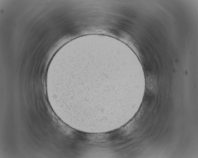 X0000067901150200605041611