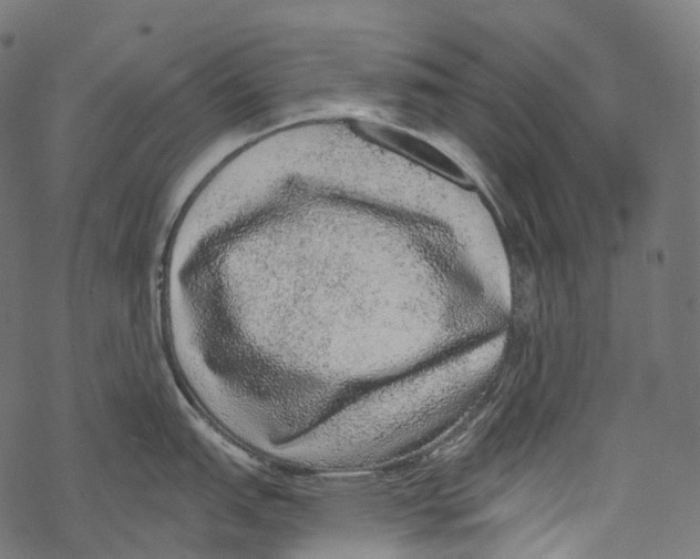 X0000067901151200605041611