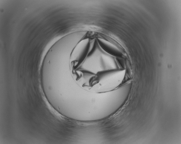 X0000067901152200605041611