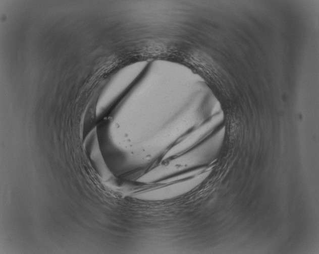 X0000067901153200605041610