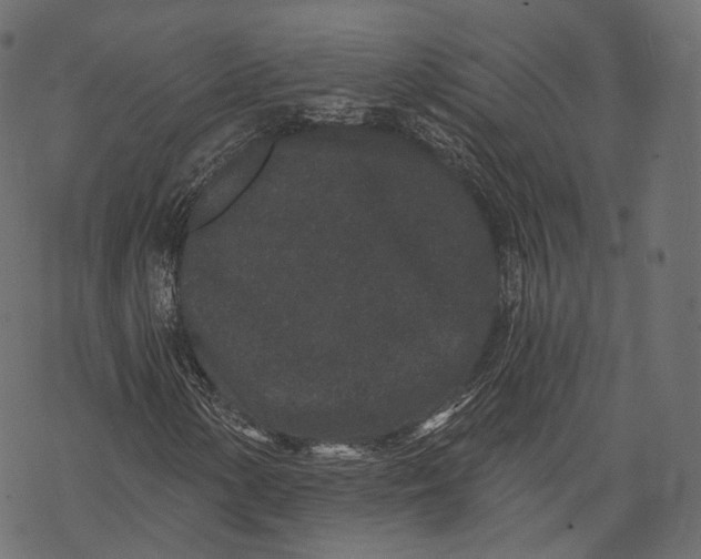 X0000067901154200605041610