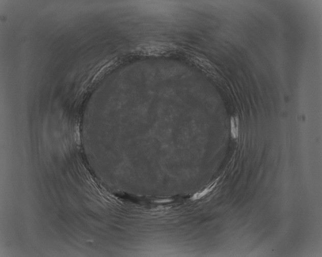 X0000067901155200605041610