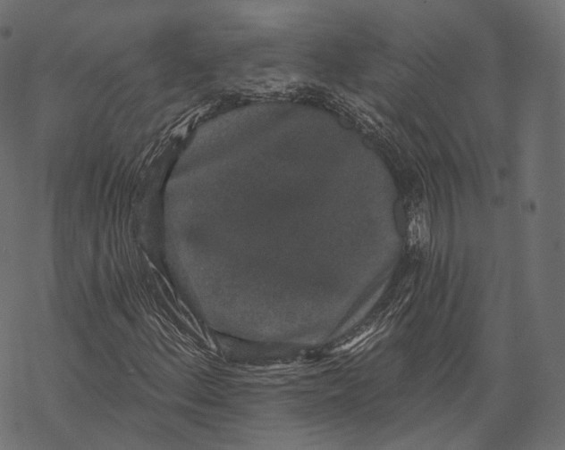 X0000067901156200605041610