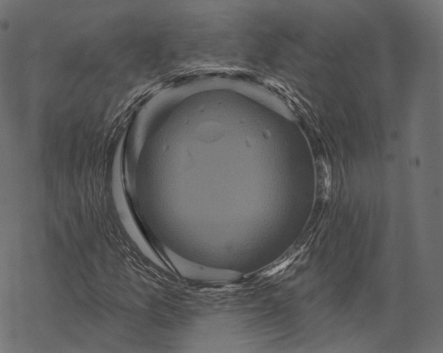 X0000067901157200605041610