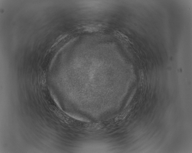 X0000067901158200605041610