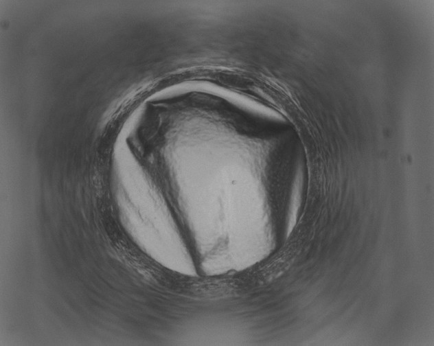 X0000067901159200605041610