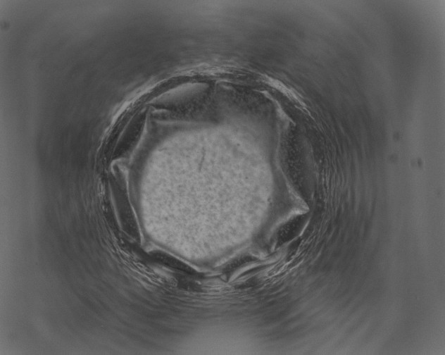 X0000067901160200605041610