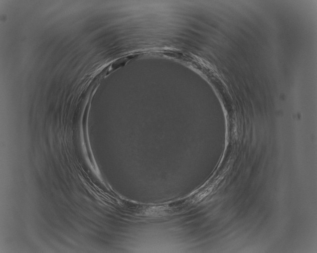 X0000067901161200605041610