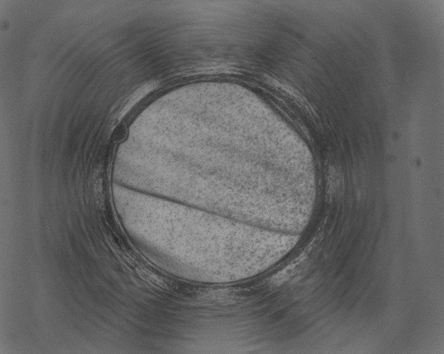 X0000067901162200605041610