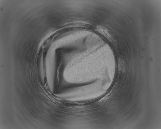 X0000067901164200605041610