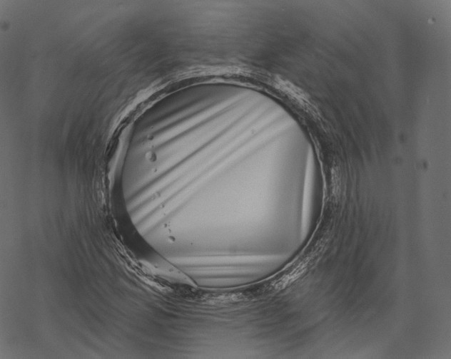 X0000067901165200605041610