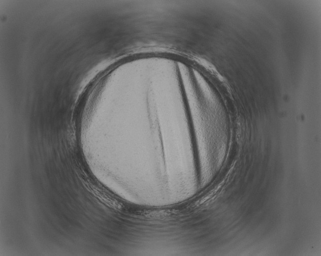 X0000067901167200605041610