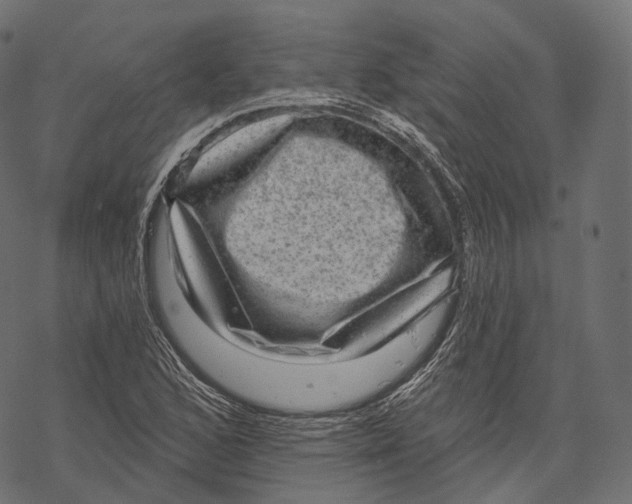 X0000067901168200605041610