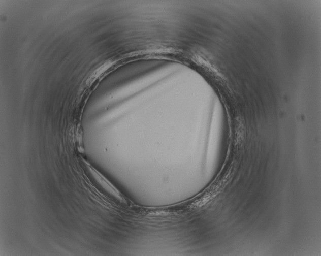 X0000067901169200605041610