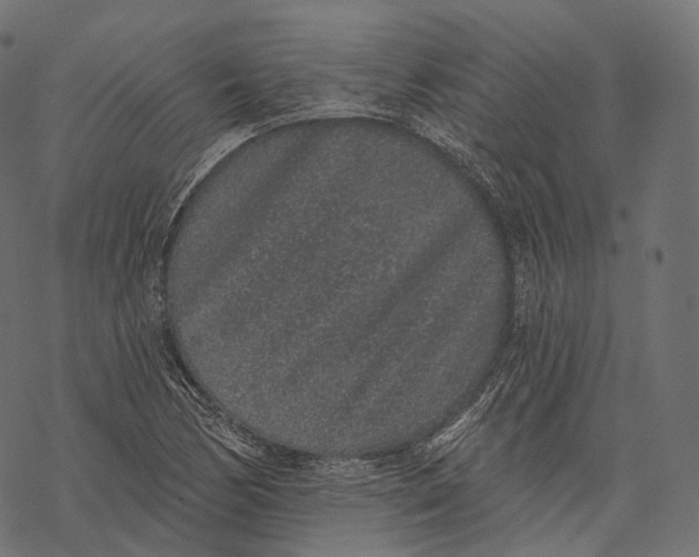 X0000067901170200605041610