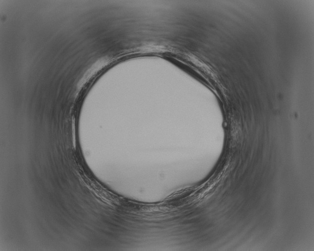 X0000067901171200605041610